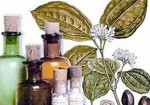 farmacias-de-homeopatia-av-faria-lima-1355860957