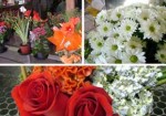 floricultura-av-faria-lima-1355918769