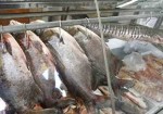 peixaria-av-faria-lima-1356022762