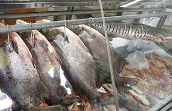 Cirio Peixe Alimentos Industria e Comercio - Foto 1
