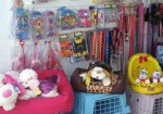 petshop-av-faria-lima-1355758583