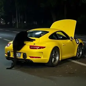 Gato Preto indiciado