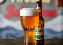 Brahma chopp grátis
