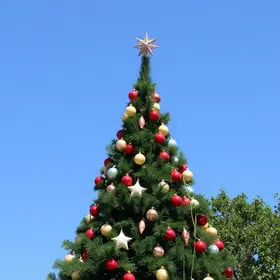 árvore de Natal