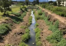 limpeza dos canais abertos