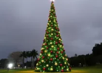 árvore de Natal