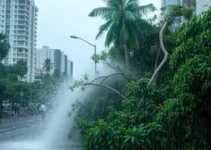 chuva e vento de 93 km/h