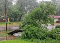 chuva em São Paulo